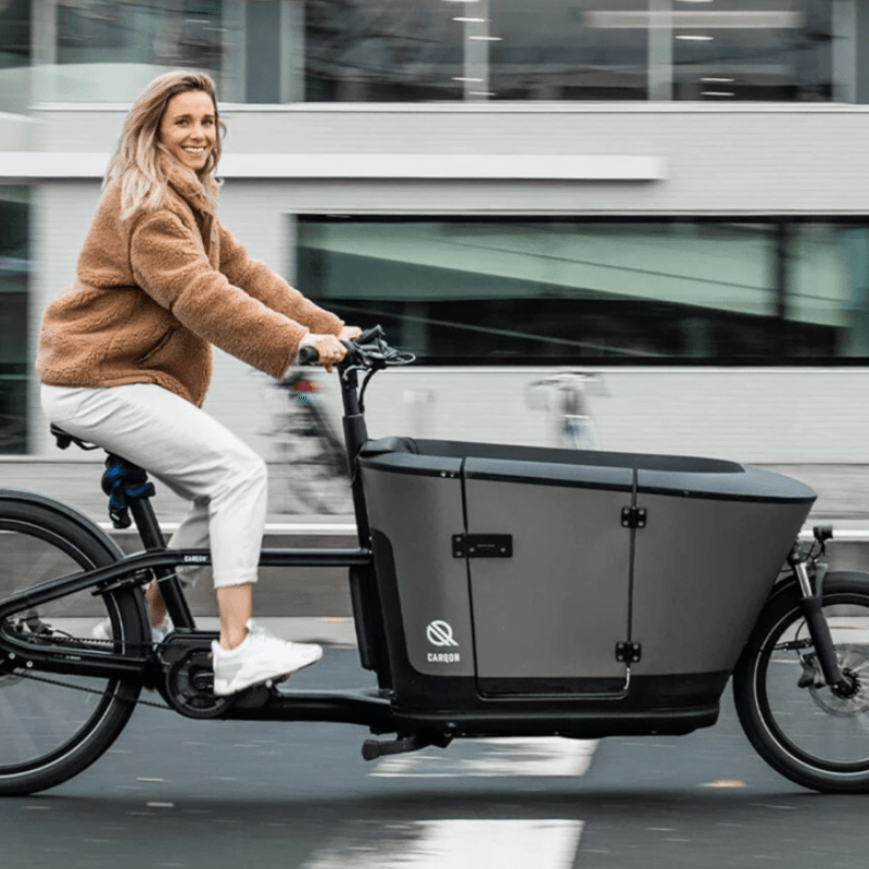 electric cargo bike